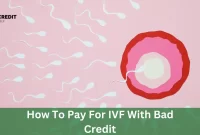 How To Pay For IVF With Bad Credit