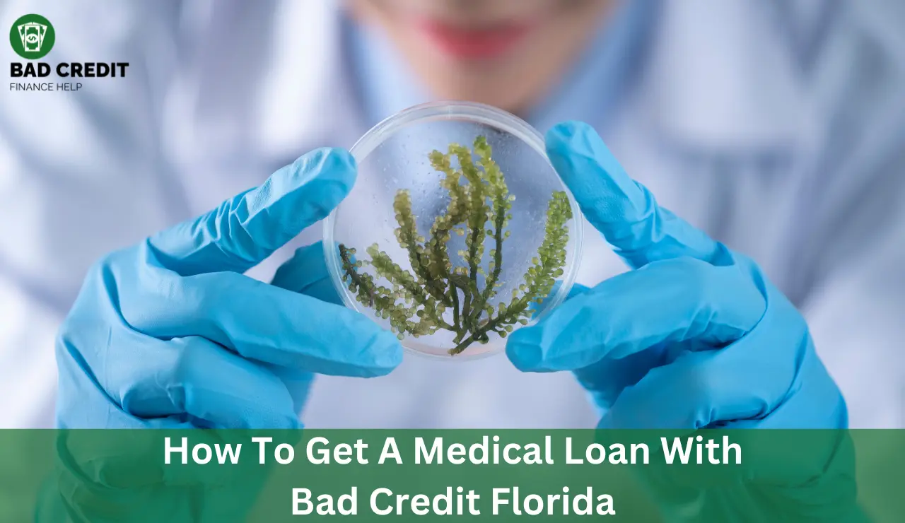 How To Get A Medical Loan With Bad Credit Florida